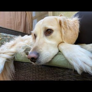 Meet your Posher, Caitlin